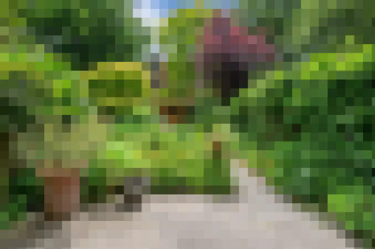 Zagerij 16 Groningen thumbnail 40