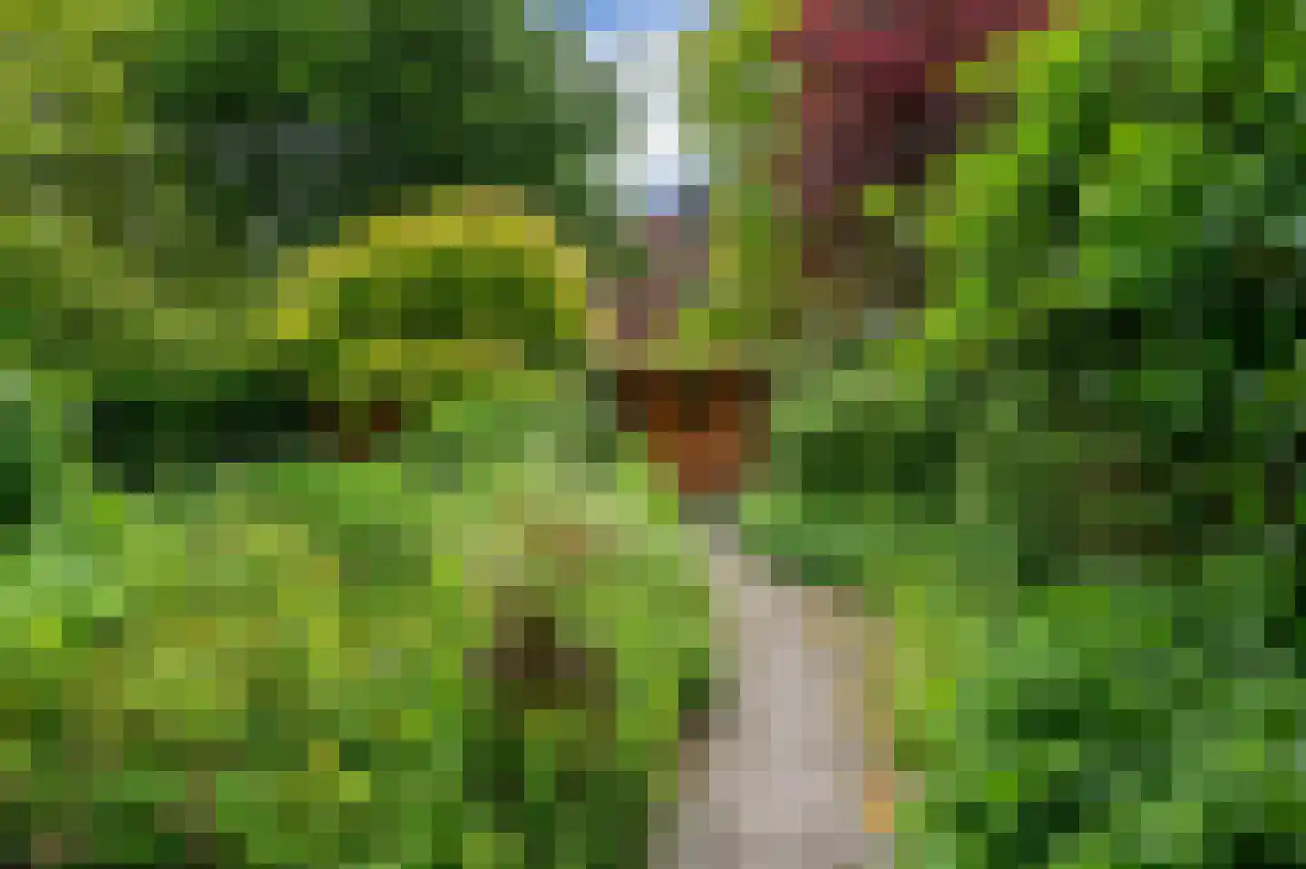 Zagerij 16 Groningen thumbnail 41