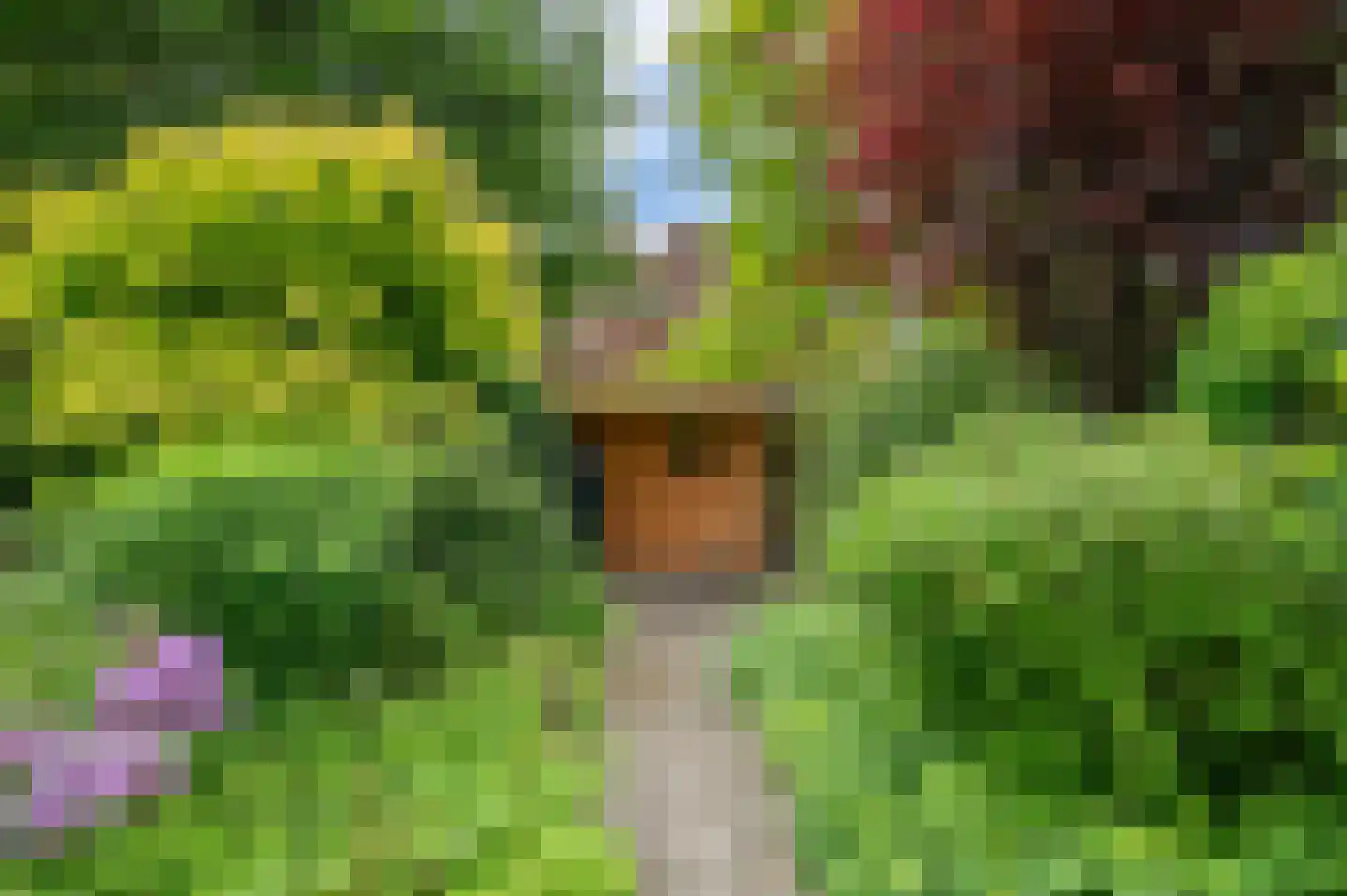Zagerij 16 Groningen thumbnail 42