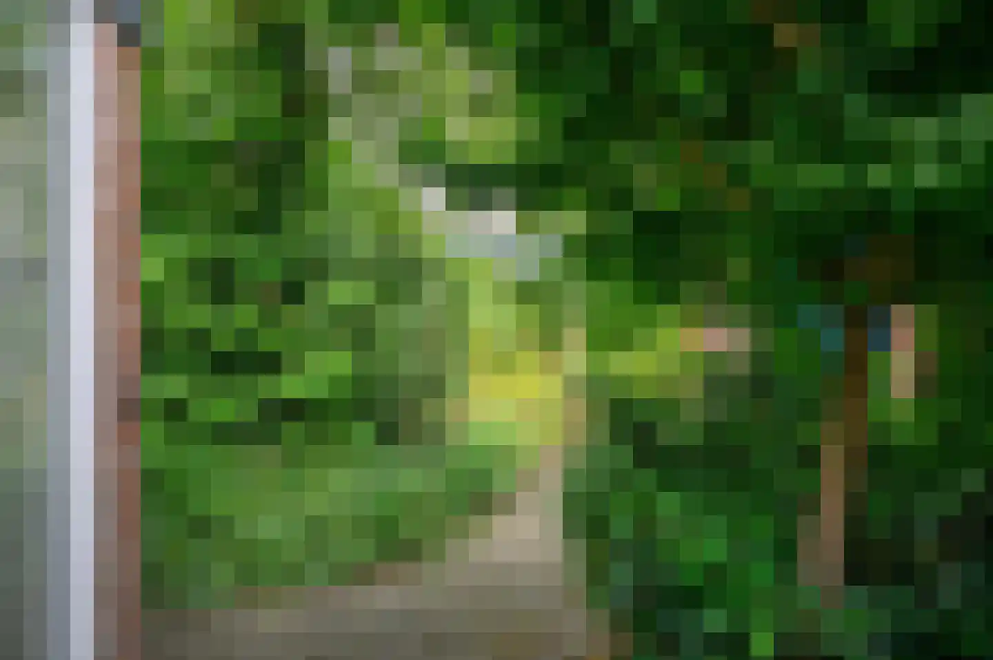 Zagerij 16 Groningen thumbnail 6