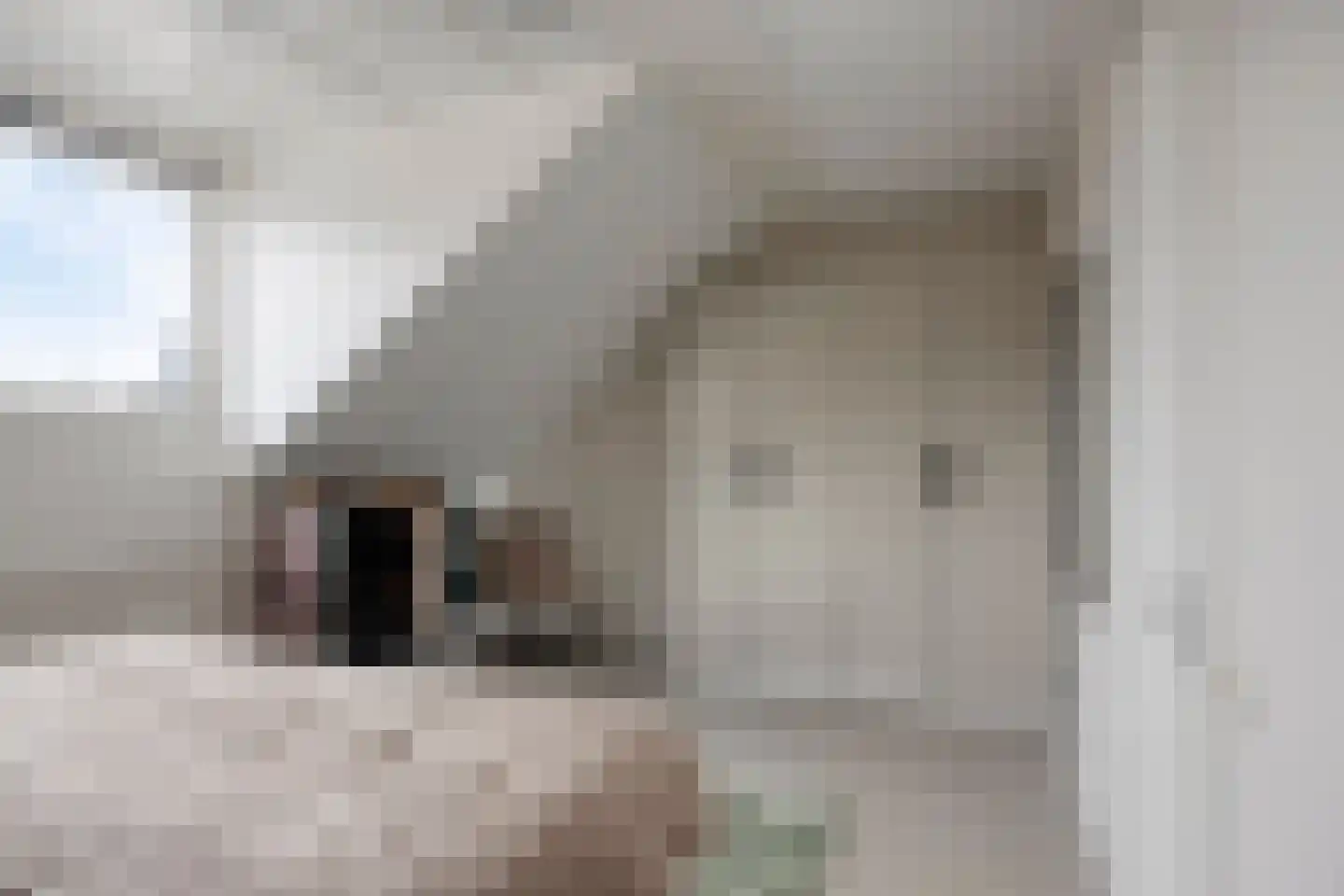 Zagerij 18 Arnhem thumbnail 33