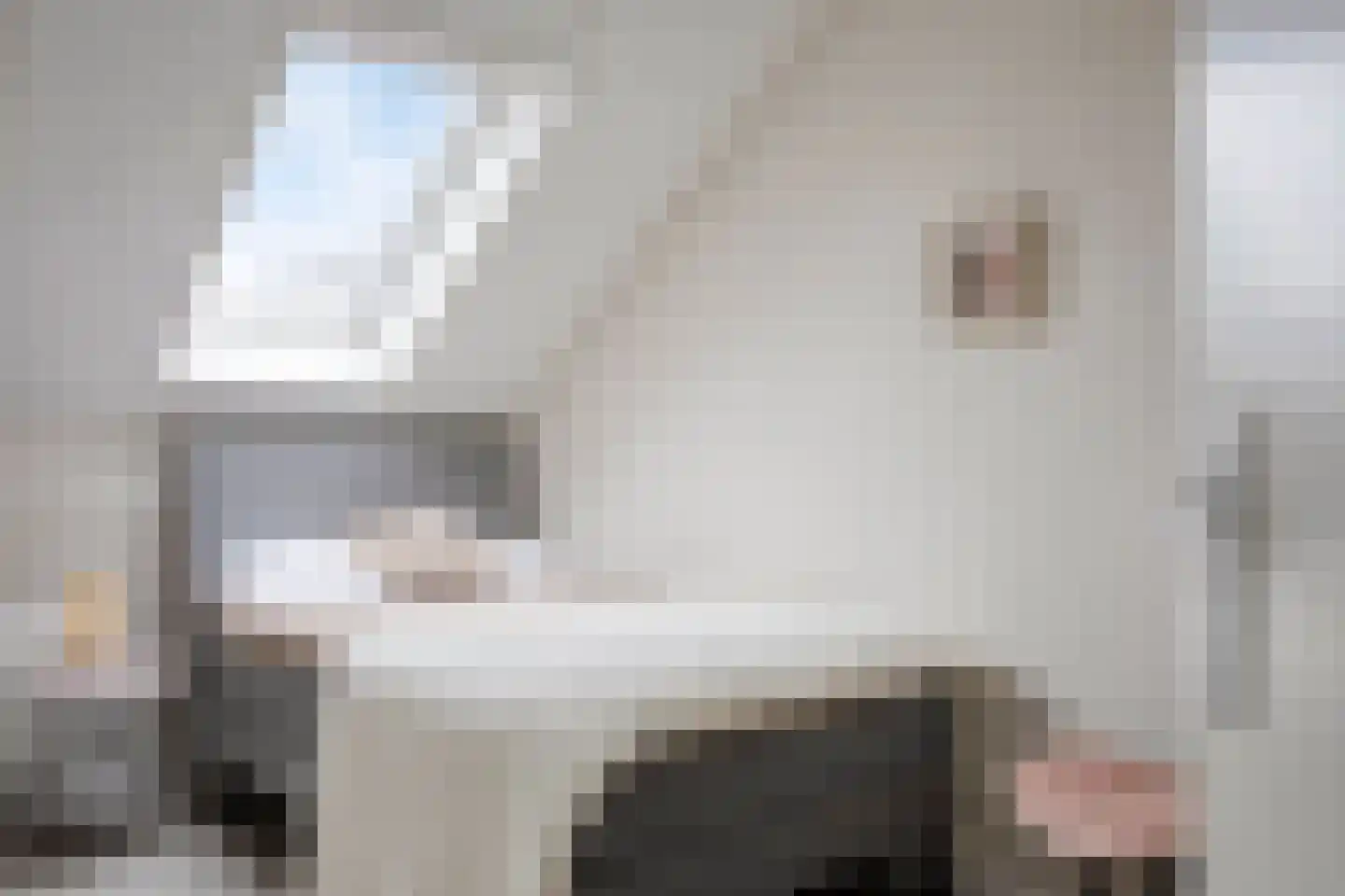 Zagerij 18 Arnhem thumbnail 34