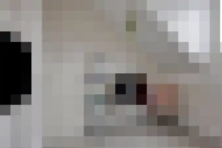 Zagerij 18 Arnhem thumbnail 38