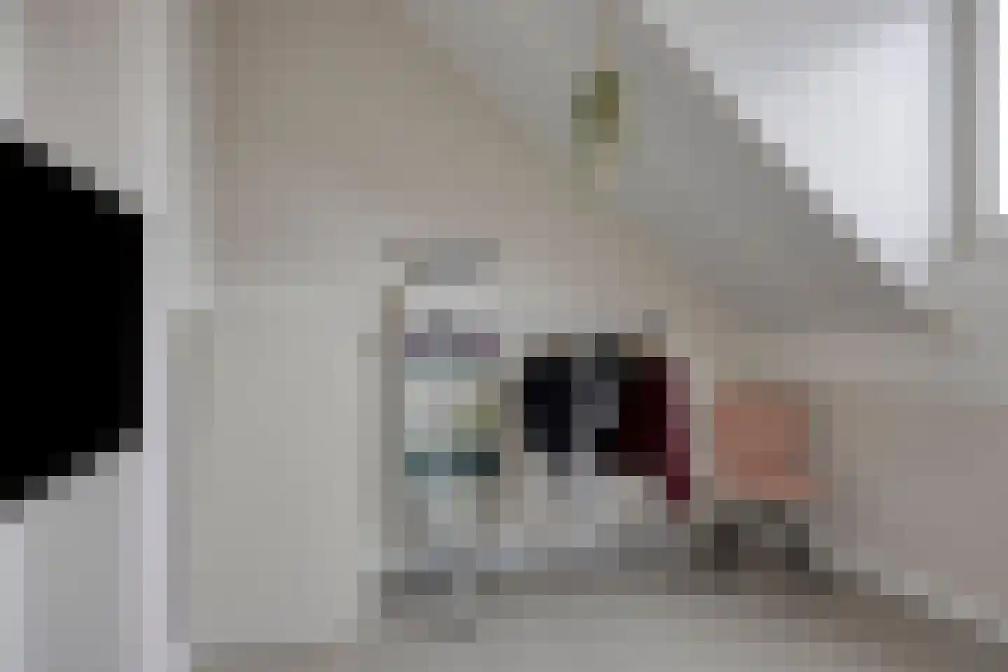 Zagerij 18 Arnhem thumbnail 38