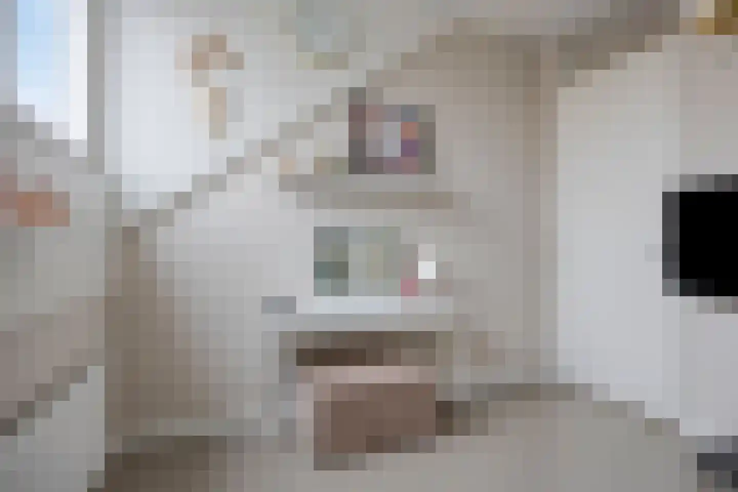 Zagerij 18 Arnhem thumbnail 39