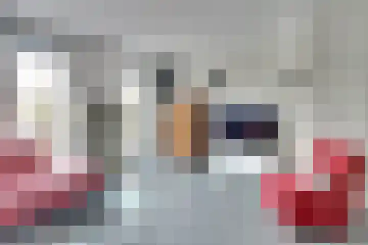 Zagerij 2 Best thumbnail 11