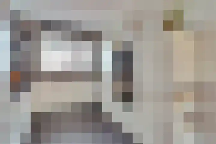 Zagerij 2 Best thumbnail 14