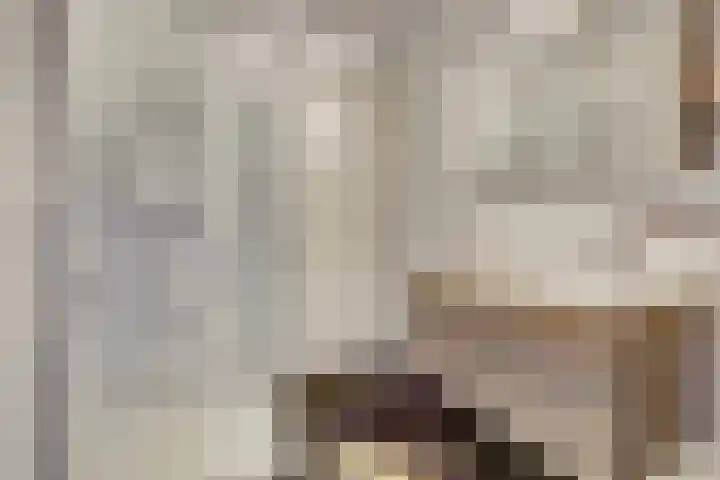 Zagerij 2 Best thumbnail 23