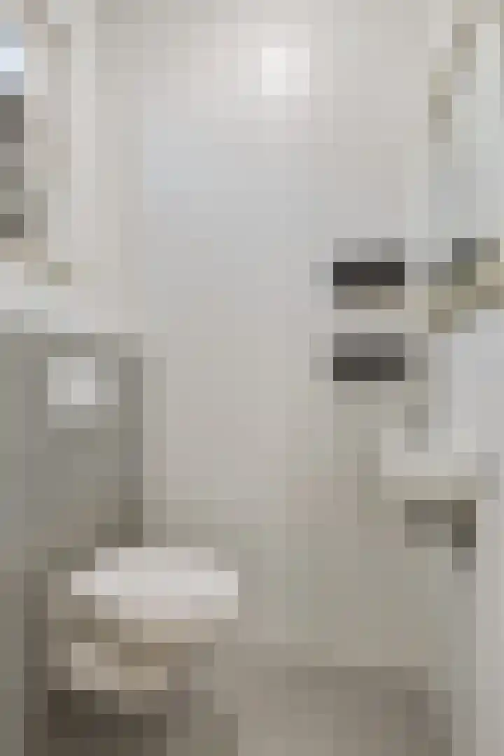 Zagerij 3 Best thumbnail 12