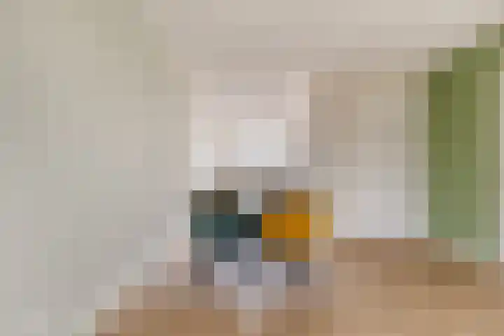 Zagerij 3 Best thumbnail 15