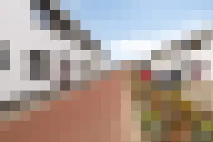 Zagerij 3 Best thumbnail 8