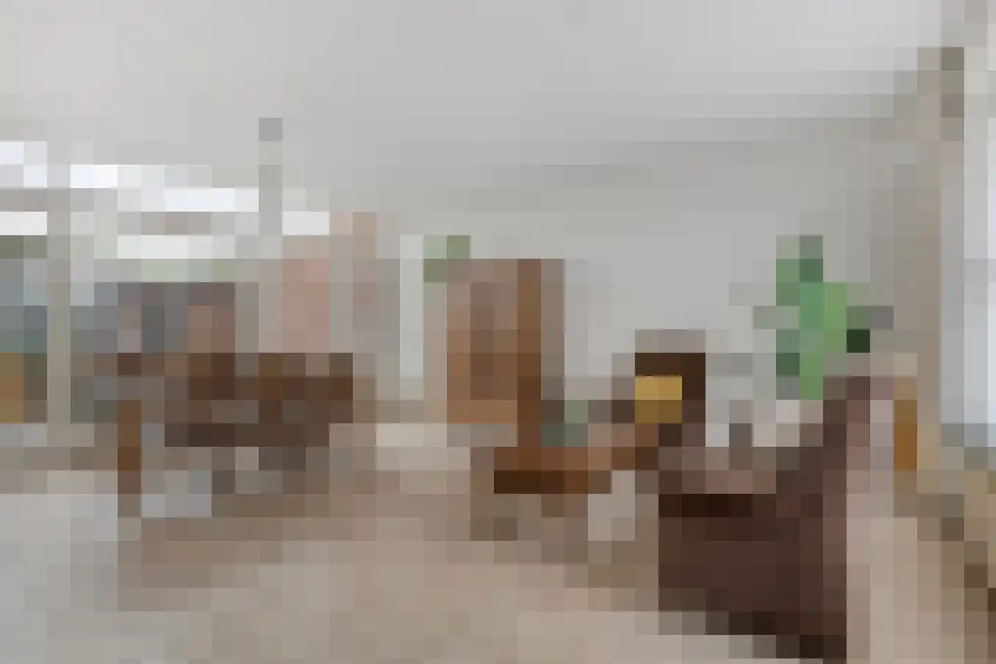 Zagershof 14 Asten thumbnail 12
