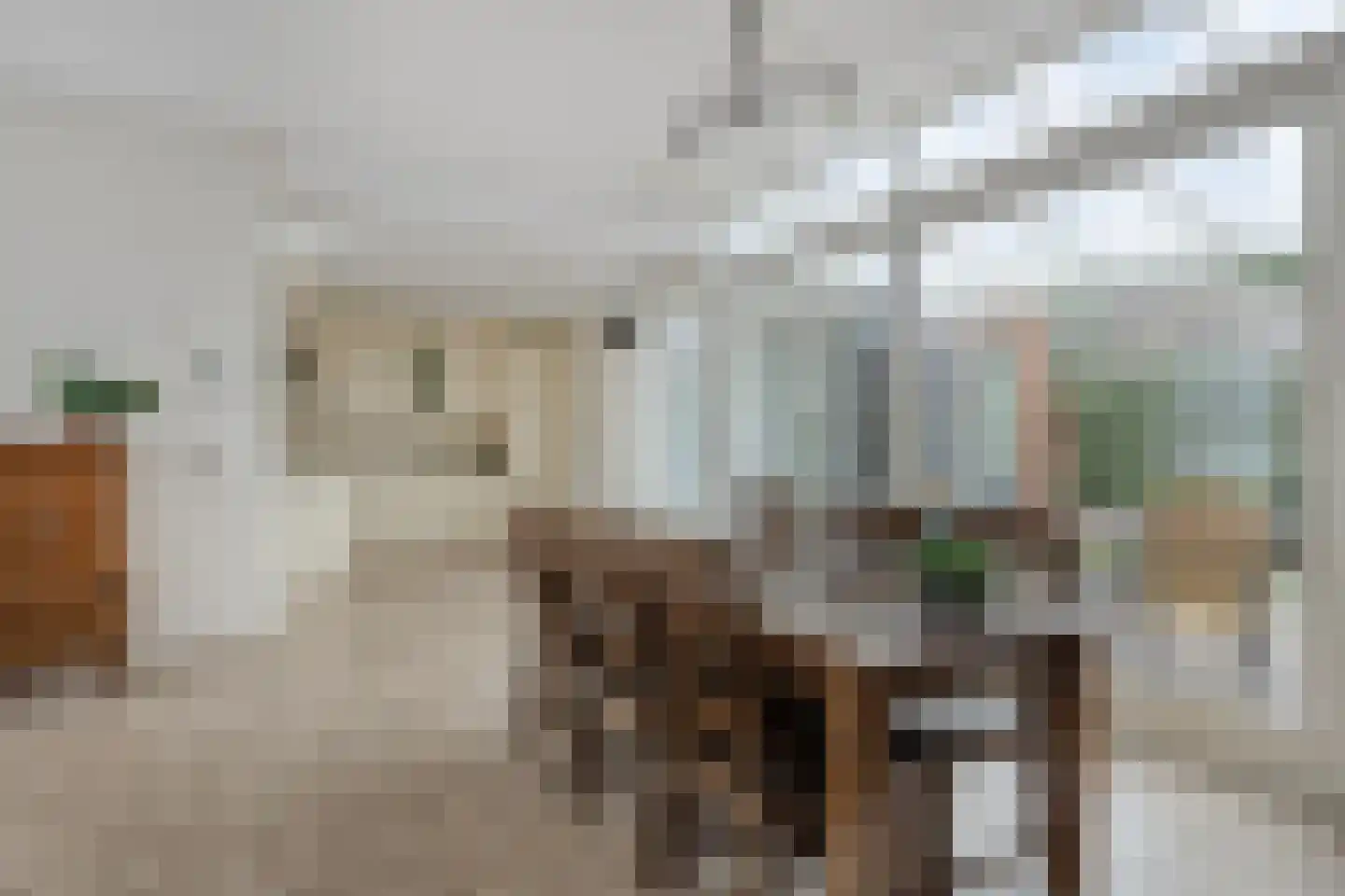 Zagershof 14 Asten thumbnail 14