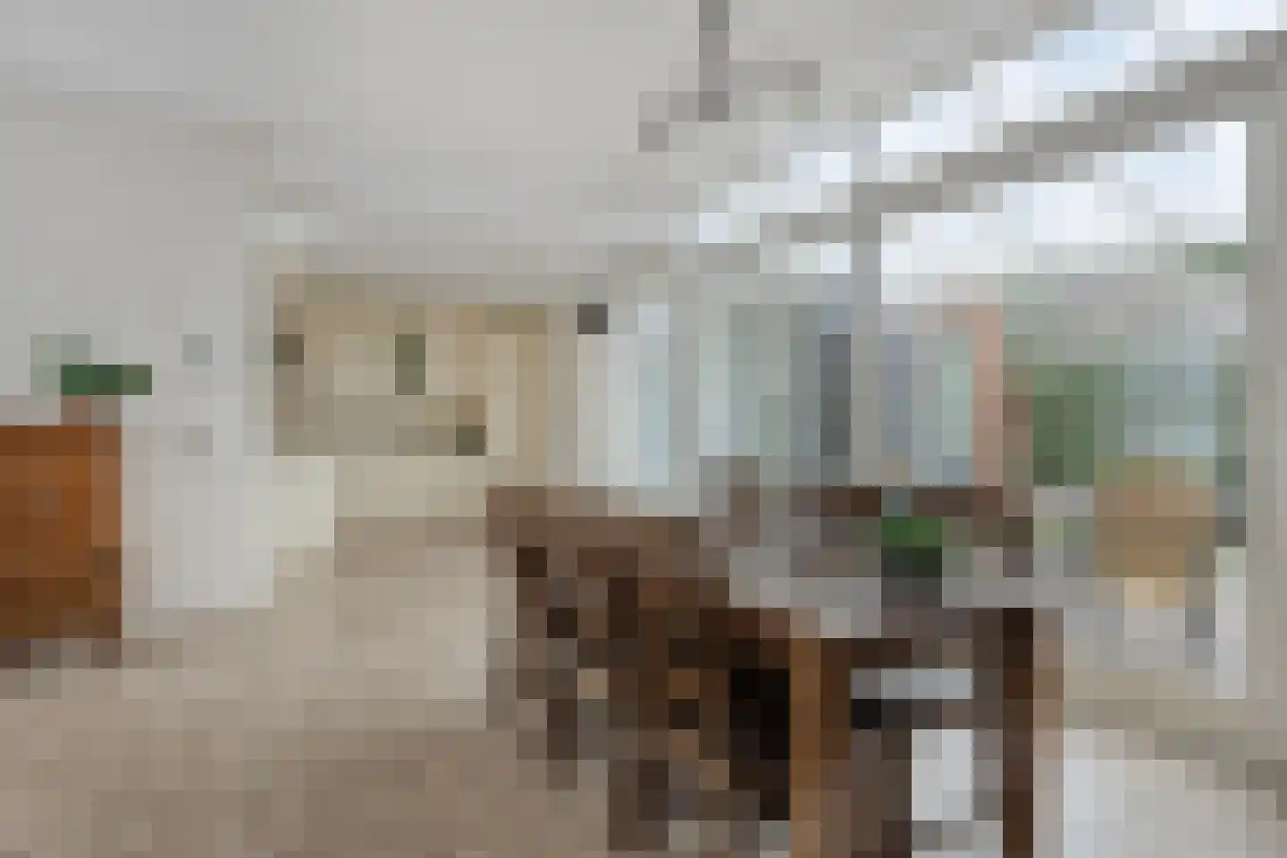 Zagershof 14 Asten thumbnail 14
