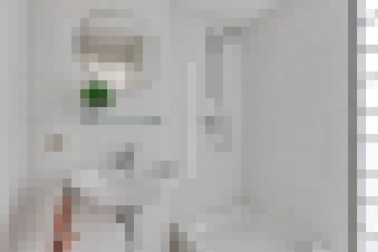 Zagershof 14 Asten thumbnail 30