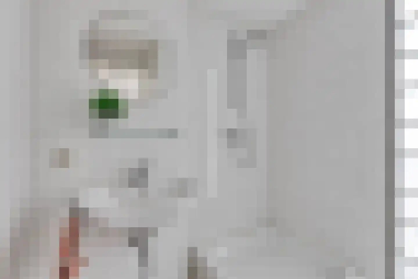 Zagershof 14 Asten thumbnail 30