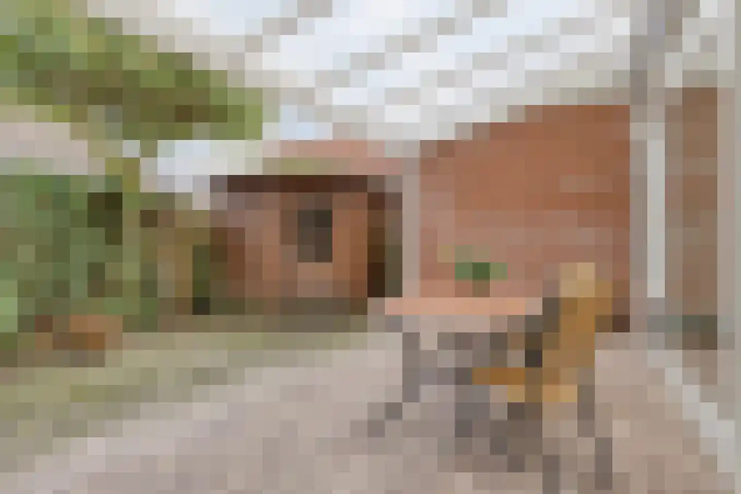Zagershof 14 Asten thumbnail 31