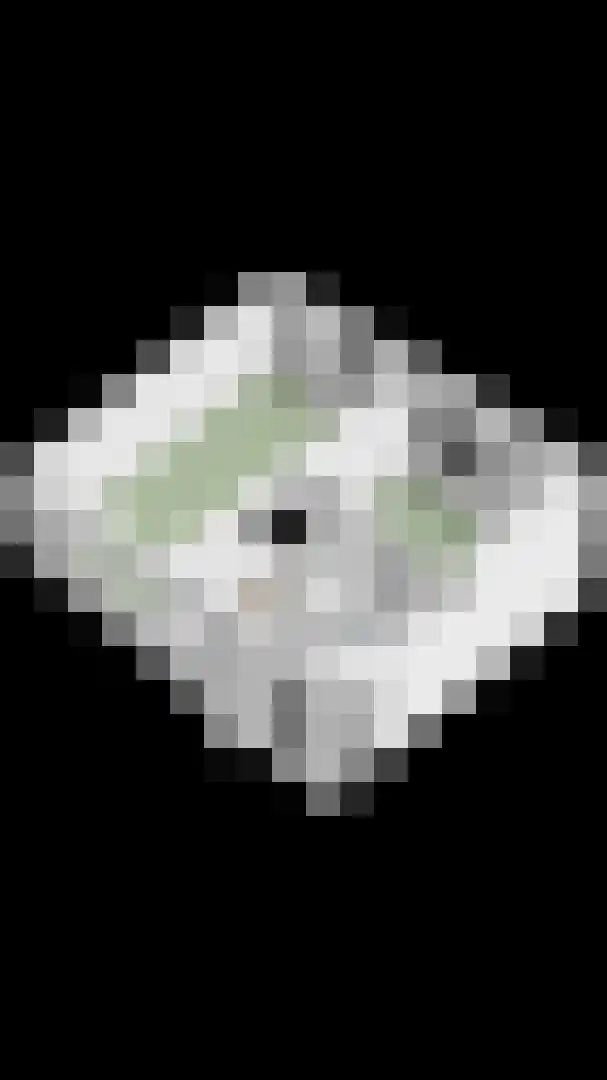 Zagershof 14 Asten thumbnail 41