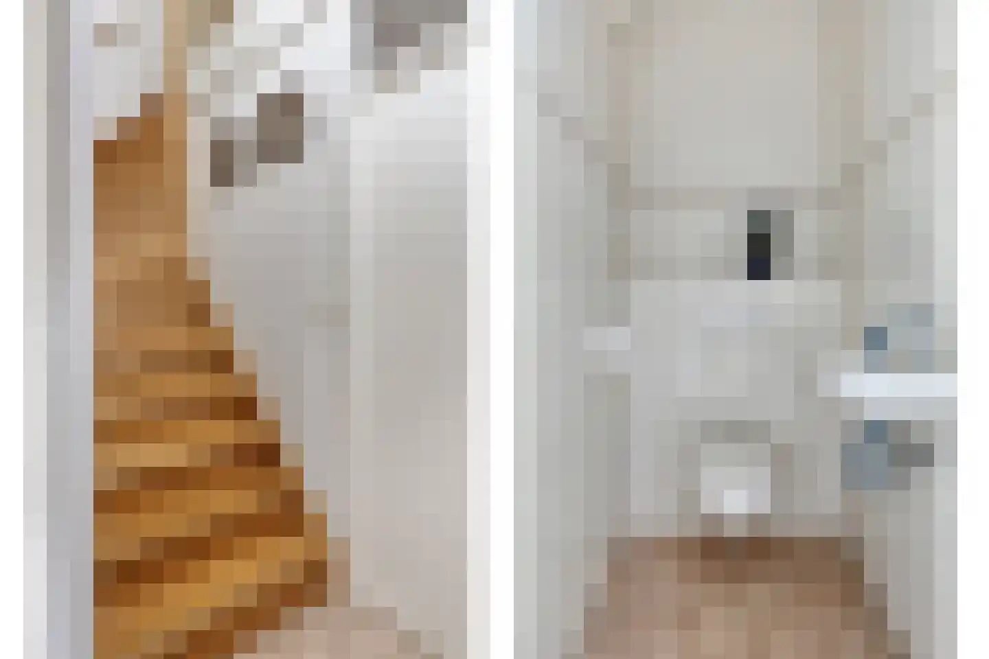 Zagershof 14 Asten thumbnail 8