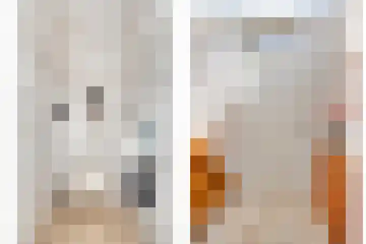 Zagershof 16 Asten thumbnail 16