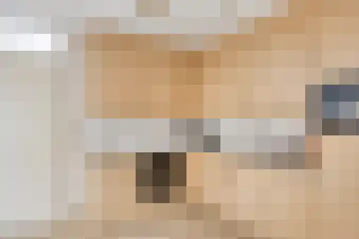 Zagershof 16 Asten thumbnail 22