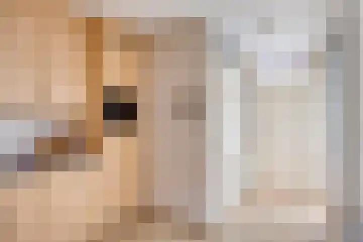 Zagershof 16 Asten thumbnail 23