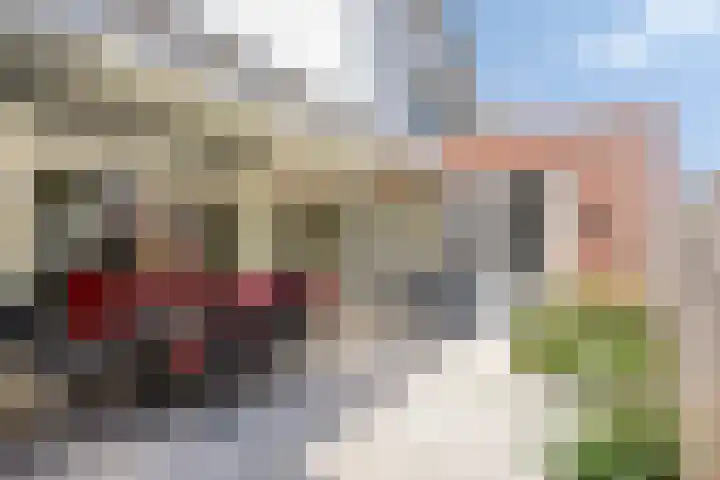 Zagershof 16 Asten thumbnail 39