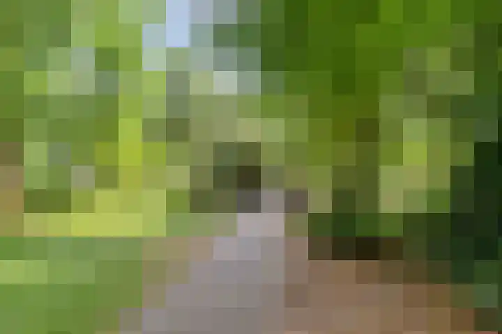 Zagershof 16 Asten thumbnail 41