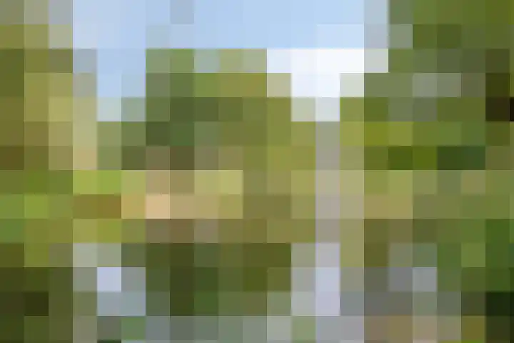 Zagershof 16 Asten thumbnail 43
