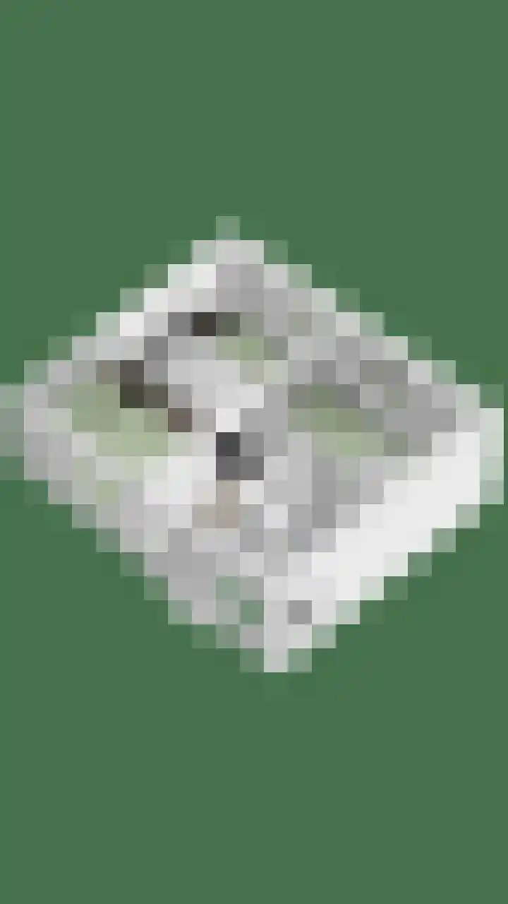 Zagershof 16 Asten thumbnail 47