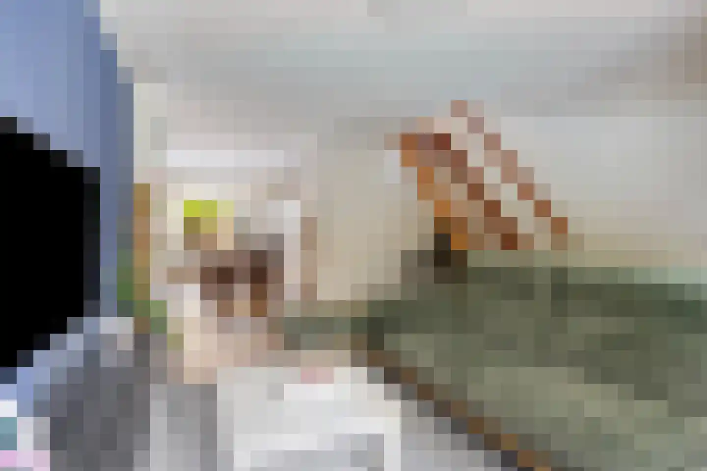 Zagerstraat 17 Son en Breugel thumbnail 10
