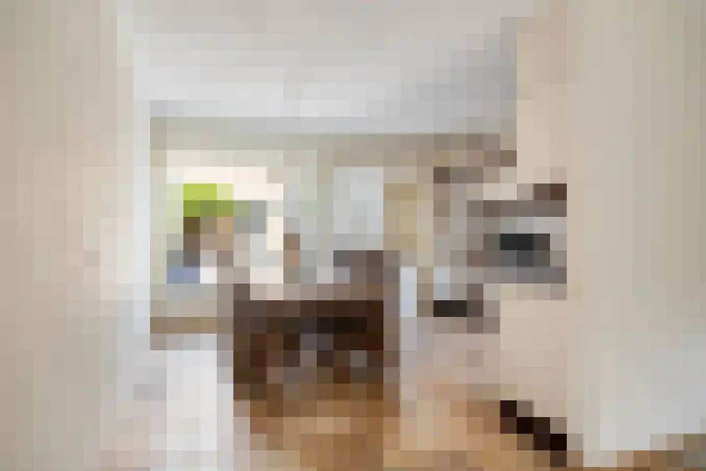 Zagerstraat 17 Son en Breugel thumbnail 12