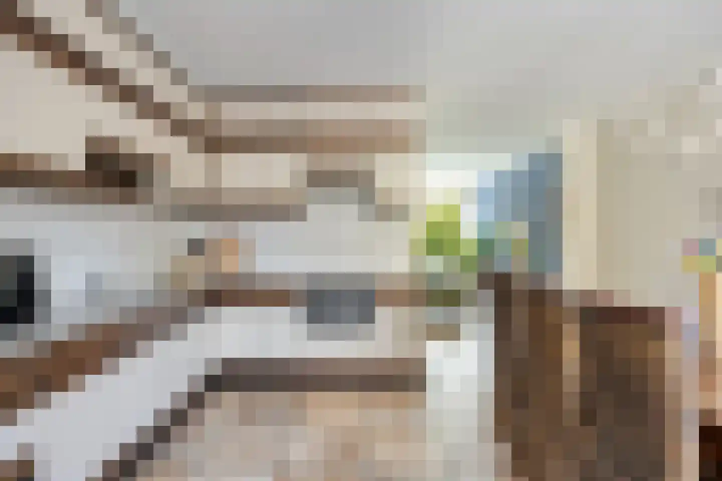 Zagerstraat 17 Son en Breugel thumbnail 14