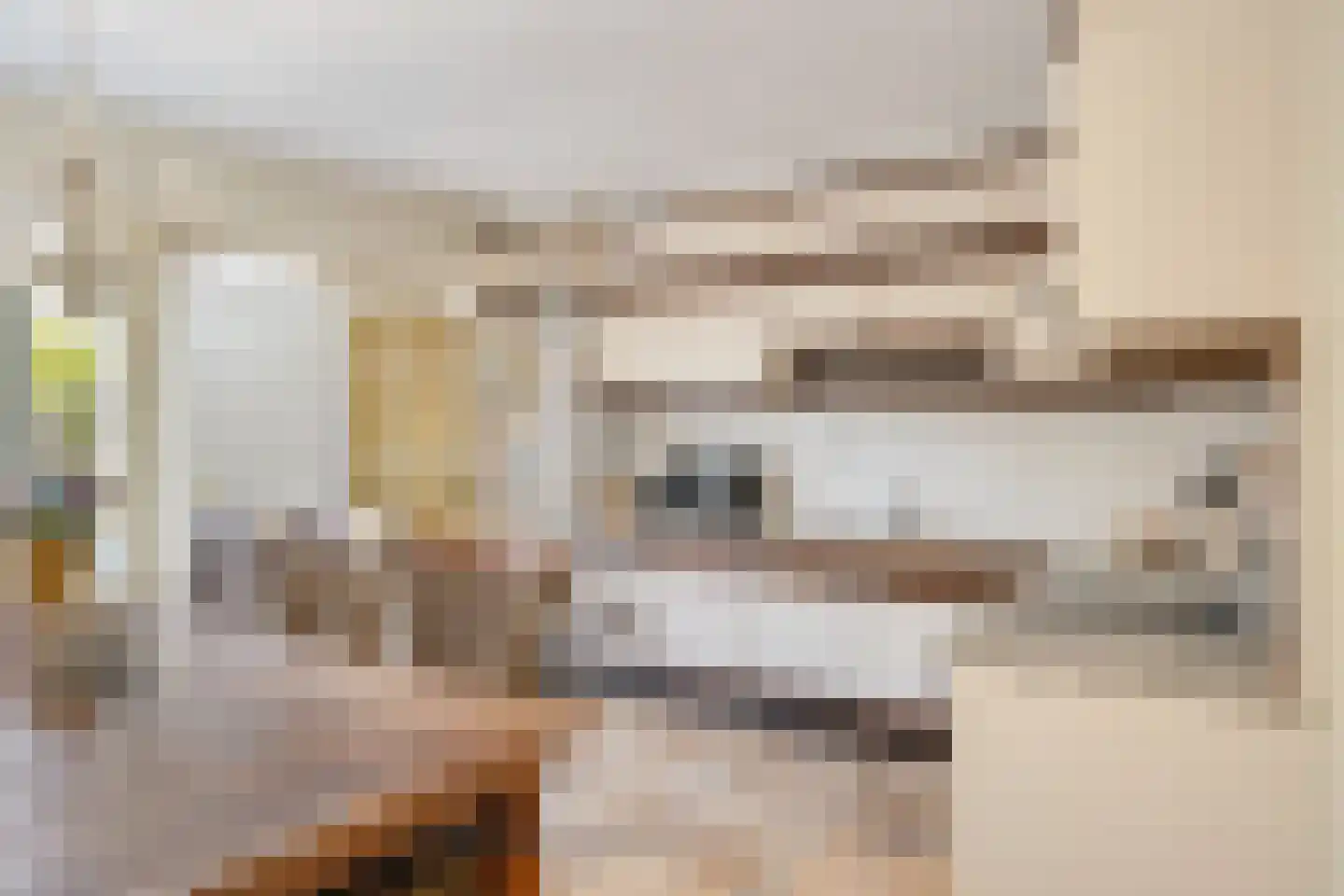 Zagerstraat 17 Son en Breugel thumbnail 15