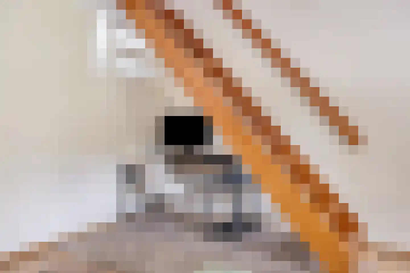 Zagerstraat 17 Son en Breugel thumbnail 18