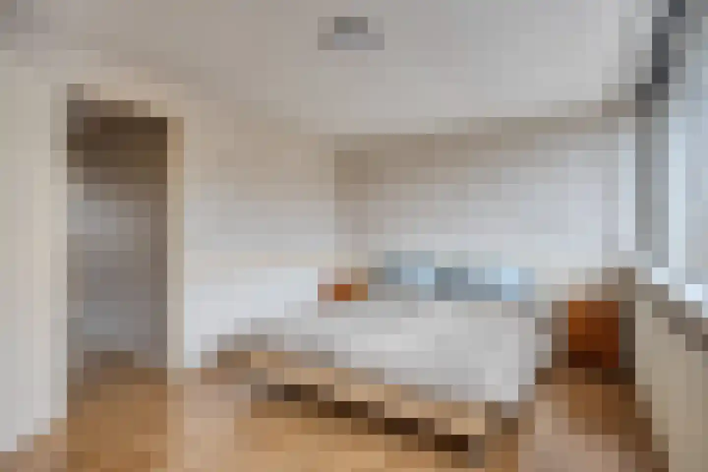 Zagerstraat 17 Son en Breugel thumbnail 22