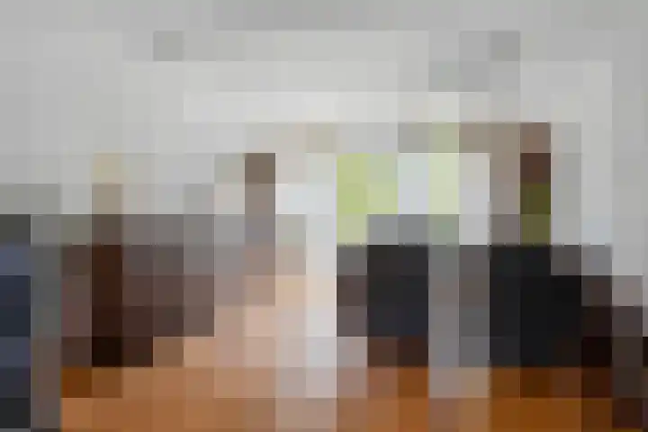 Zagerstraat 22 Son en Breugel thumbnail 11