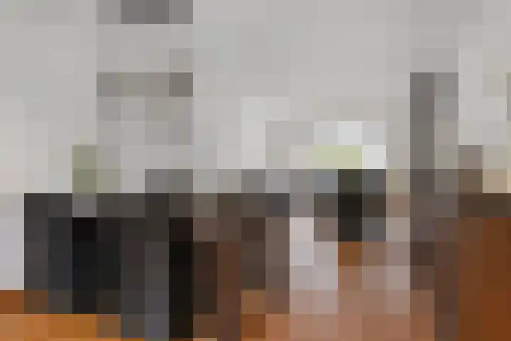 Zagerstraat 22 Son en Breugel thumbnail 12