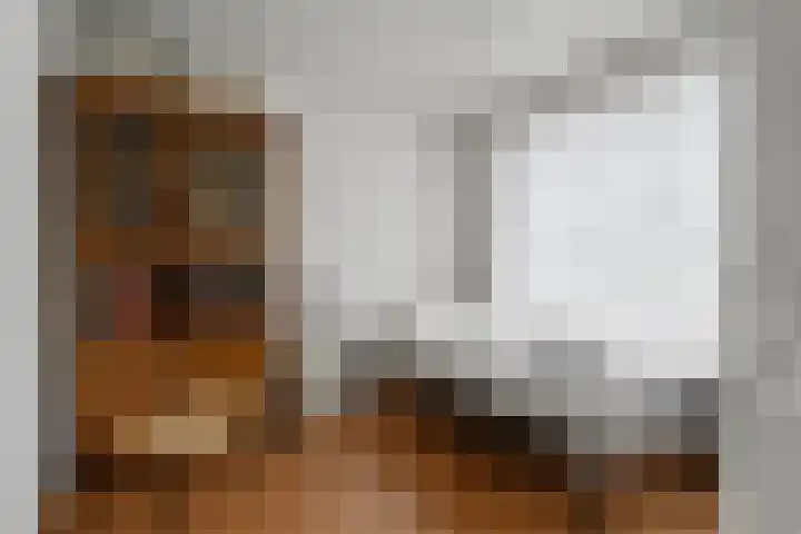 Zagerstraat 22 Son en Breugel thumbnail 23