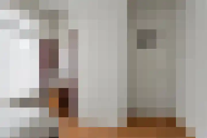 Zagerstraat 22 Son en Breugel thumbnail 24