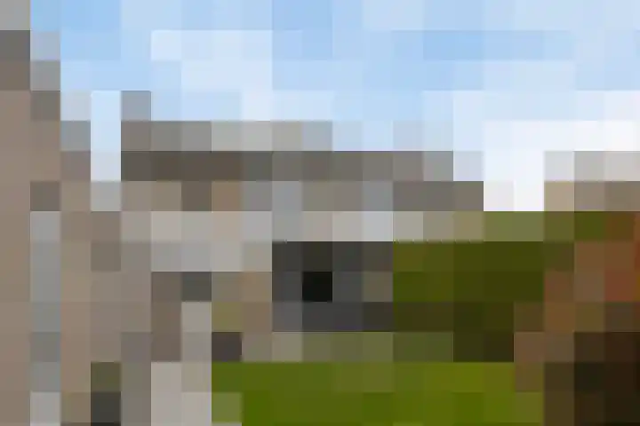 Zagerstraat 22 Son en Breugel thumbnail 32