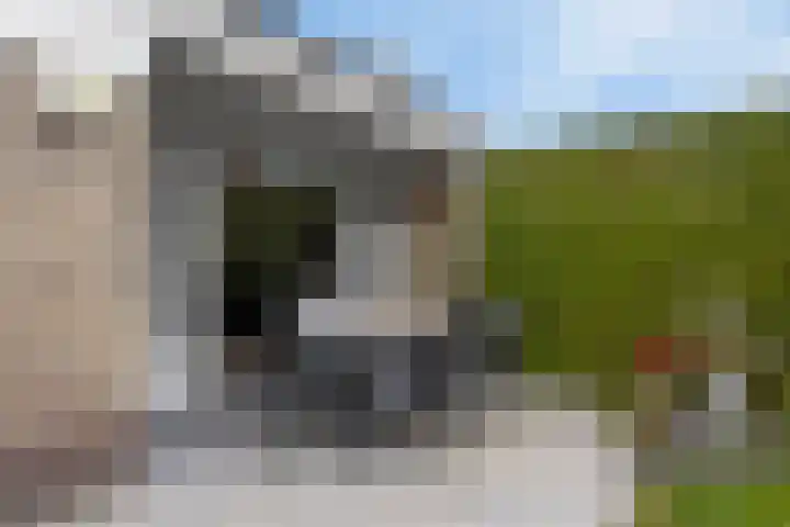 Zagerstraat 22 Son en Breugel thumbnail 33