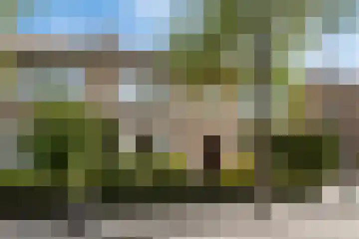 Zagerstraat 22 Son en Breugel thumbnail 38