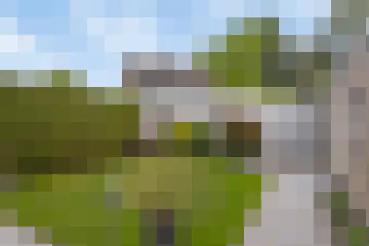 Zagerstraat 22 Son en Breugel thumbnail 4