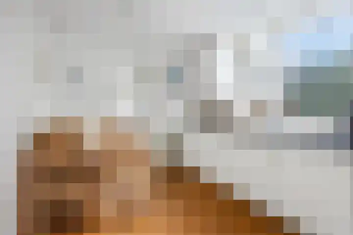Zagerstraat 22 Son en Breugel thumbnail 9