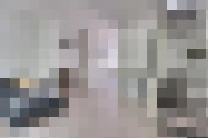 Zagerstraat 41 Son en Breugel thumbnail 10