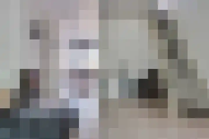 Zagerstraat 41 Son en Breugel thumbnail 11