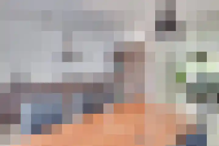 Zagerstraat 41 Son en Breugel thumbnail 14