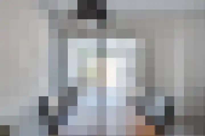 Zagerstraat 41 Son en Breugel thumbnail 15