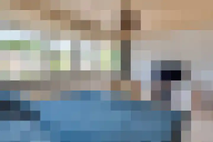 Zagerstraat 41 Son en Breugel thumbnail 19
